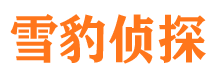 邢台县市侦探公司